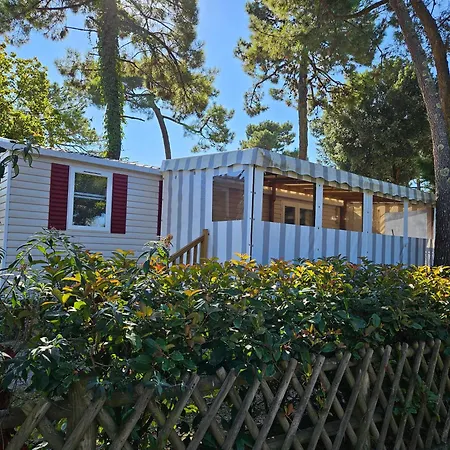 Naphtase Mh01s Le Refuge Des Pins