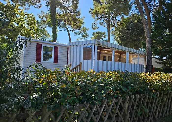 Naphtase Mh01s Le Refuge Des Pins